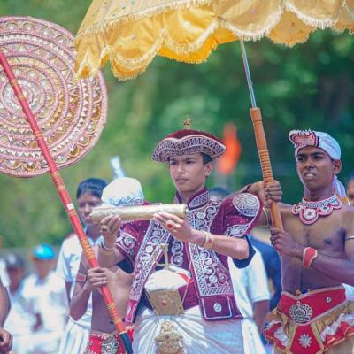 A Tapestry of Talent